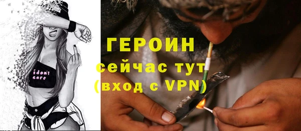 дживик Бородино