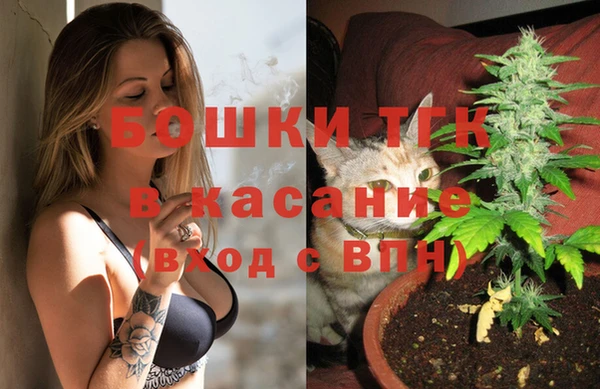 дживик Бородино