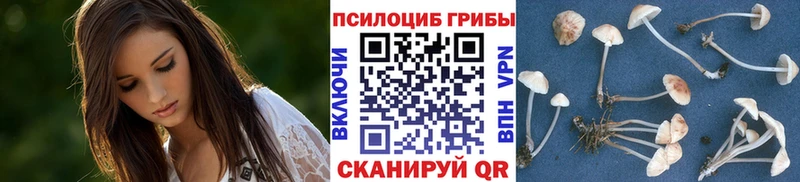 mega ТОР  Нюрба  Псилоцибиновые грибы мицелий 