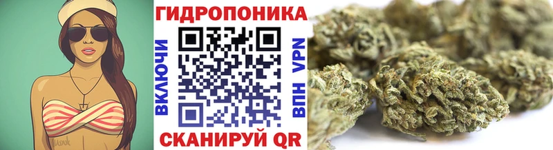 Марихуана THC 21%  что такое   Нюрба 